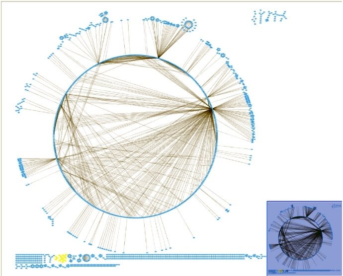 A rough overview of a complex network analysis that relates every new genetic polymorphism the lab analyzed with a disease or condition.