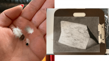 Left: tiny feathers in the palm of a hand; Right: a charcoal drawing