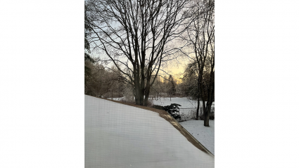 a snowy roof, backyard and trees captured from 2nd story window during sunrise