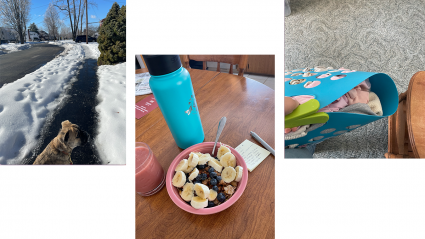 Left: a dog stands on a snowy sidewalk; Center: a bowl of breakfast on a table; Right: a basket of laundry