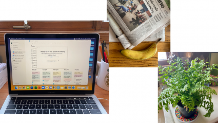 Left: a laptop with a Zoom waiting room displayed; Center: a banana and a newspaper; Right: a fern plant