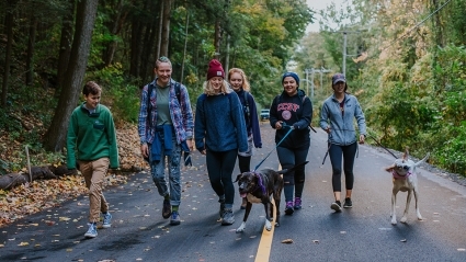 Mountain Day 2018 - Students and dogs hike the road to the summit.