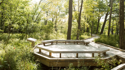 The boardwalk at the Project Stream site