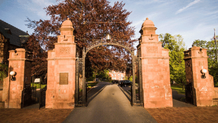 Photo of the field gate