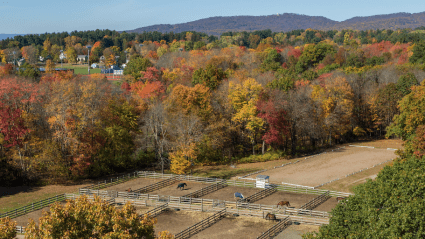 View of the Equestrian Center’s grounds