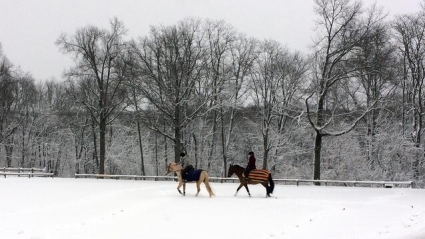 Two riders on horseback riding through the snow