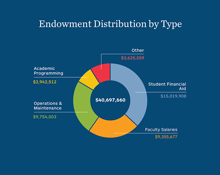 Chart: Endowment Distribution by Type
