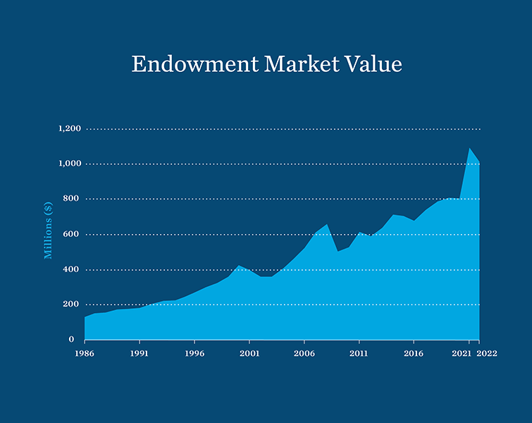 Chart: Endowment Market Value 