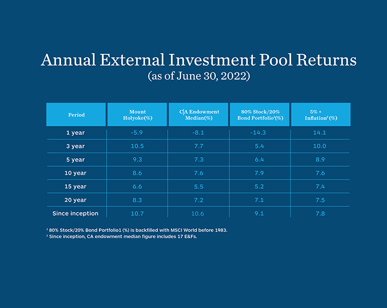 Chart: Annual External Investment Pool Returns: As of June 30, 2022