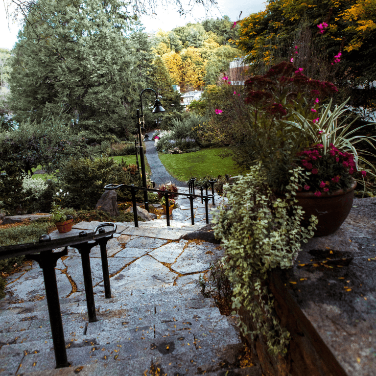 The view from the top of the patio staircase that leads down to the Talcott Greenhouse