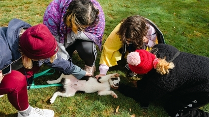 This is a photograph of a dog enjoying belly rubs from a circle of excited students.