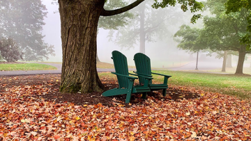 Adirondack chairs on MHC Campus in autumn with fallen orange, yellow leaves all around.