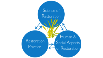 Graphic displaying the cyclical nature of integrataing science, practice and social dimensions in restoration.
