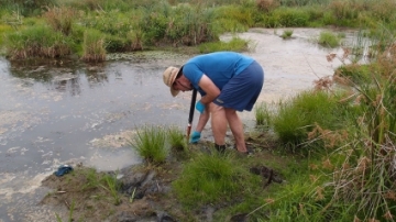 Photo of a researcher working in a restored wetland