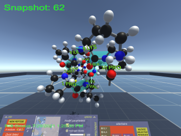 A snapshot of a peptide model in virtual reality