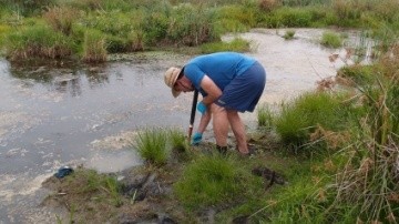 Photo of a researcher working in a restored wetland