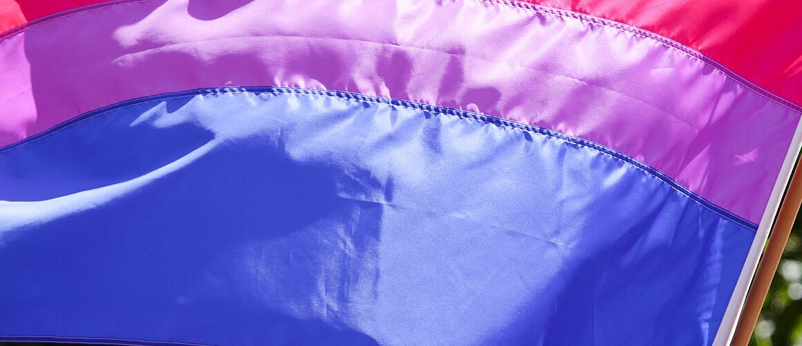 The bisexual pride flag. Image courtesy of Peter Salanki via Wikimedia Commons.
