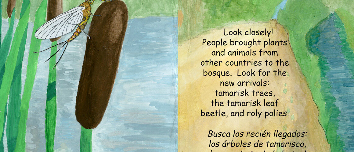 An interior page from Have you been to the bosque?
