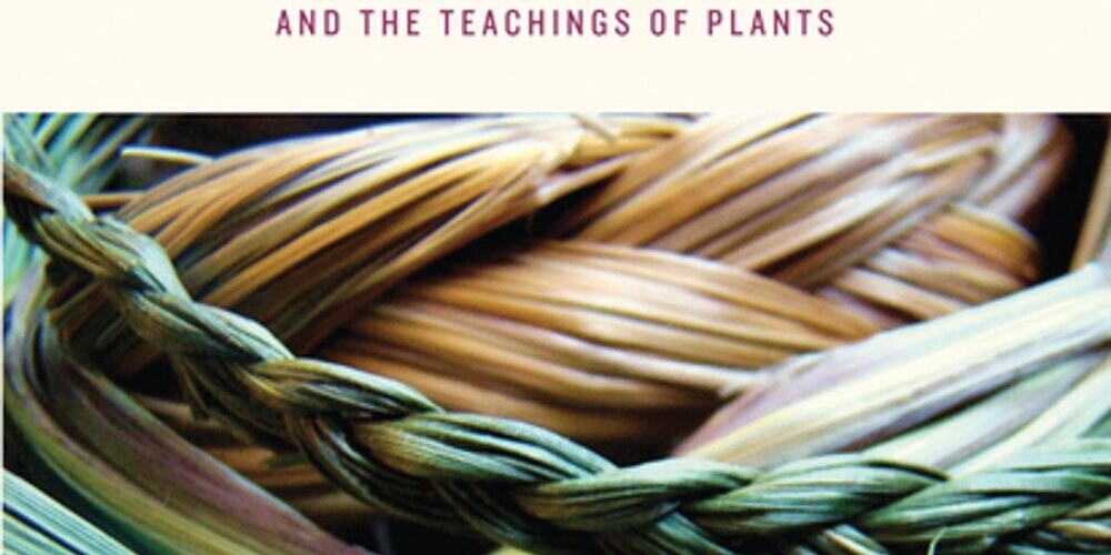 The book “Braiding Sweetgrass” centers Indigenous knowledge as an alternative or complementary approach to mainstream scientific methodologies.