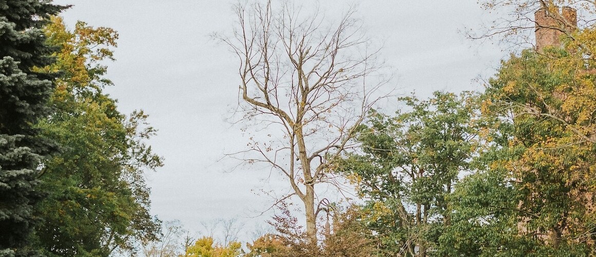 A tree-lined green on the Mount Holyoke College campus in fall.