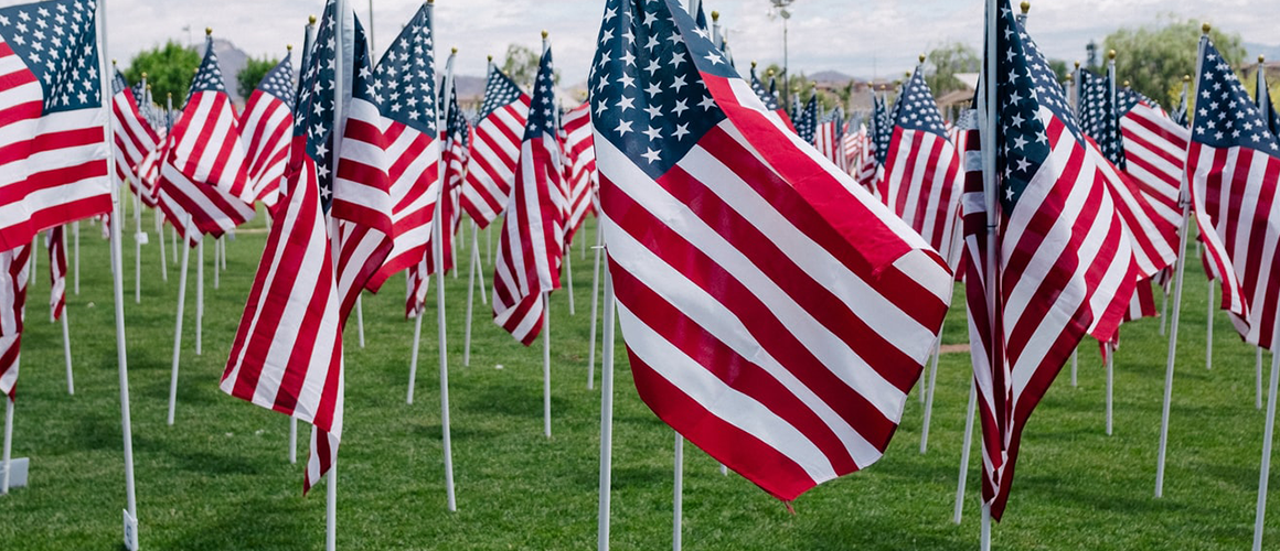 American flags flying in a field
