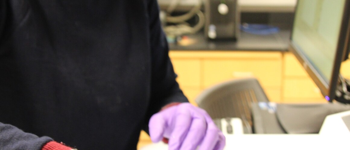 Hannah Arbach ’15, Student Researcher