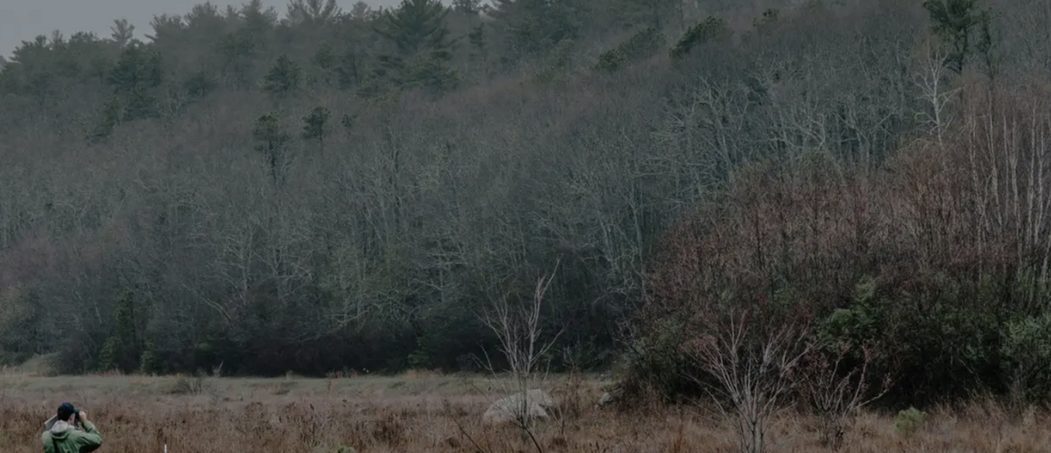 Professor Kate Ballantne looking through binoculars while standing in a cranberrgy bog