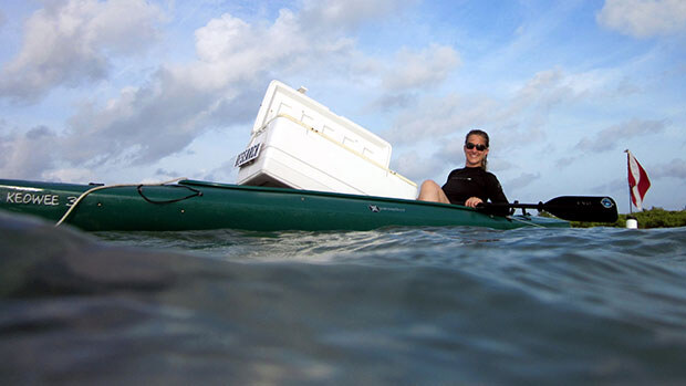 Sharp’s post-doctoral work focused on how shipworms digest the cellulose in wood.
