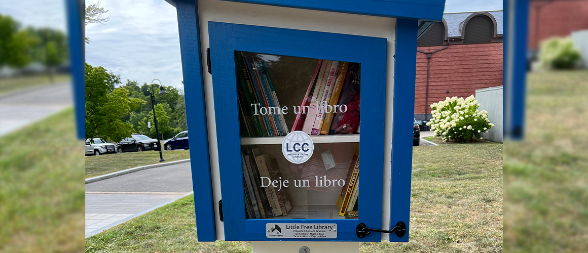 A little free library on the Mount Holyoke College campus