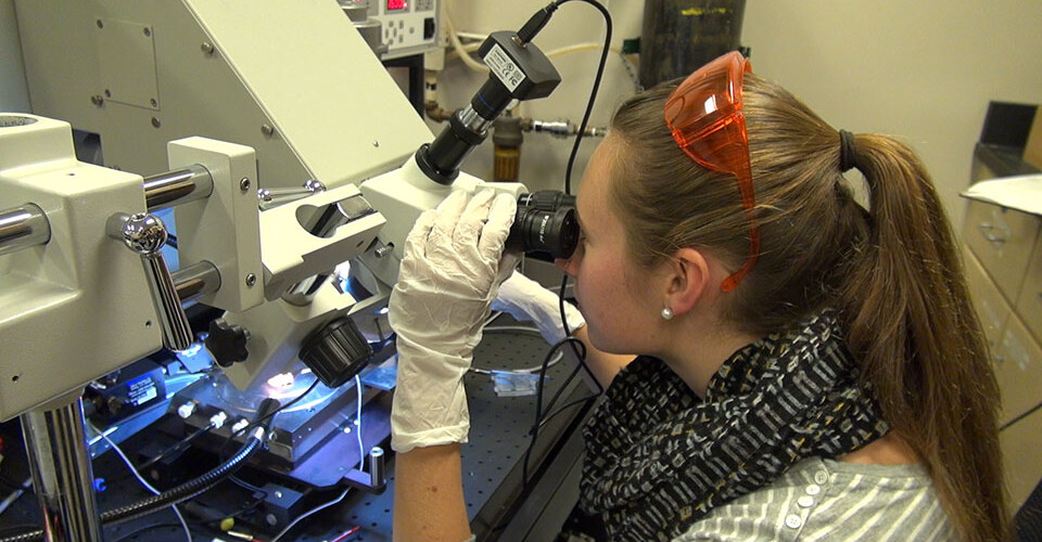 Alumna Margaret Stevens ’14 works in her lab at Tufts University.