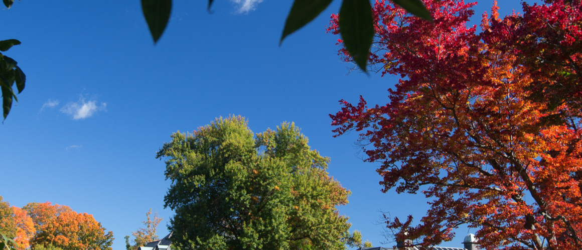 Mount Holyoke has unveiled a new suite of green projects in partnership with GreenerU as a part of its commitment to action on climate change.