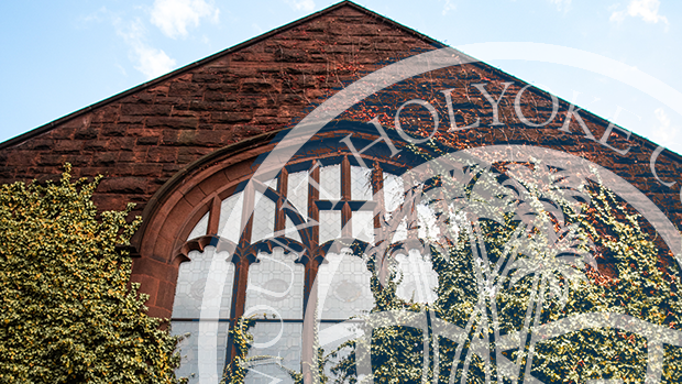 Close-up photo of a window surrounded by ivy