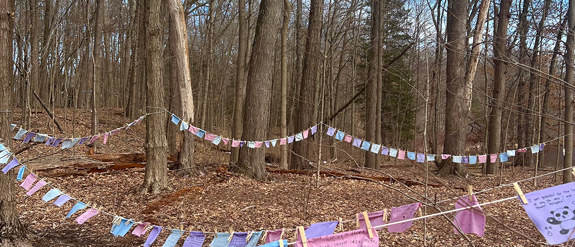 An installation of gratitude squares near Upper Lake