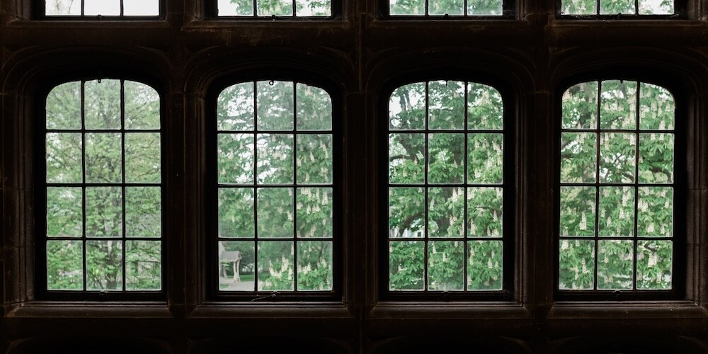 A wall of windows