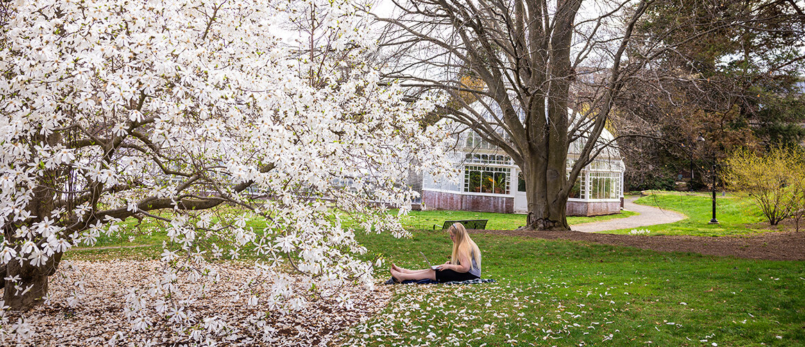 Student sits on the grass by a flowering tree in the spring, Mount Holyoke Campus.