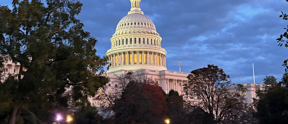 Capitol building in Washington D.C.